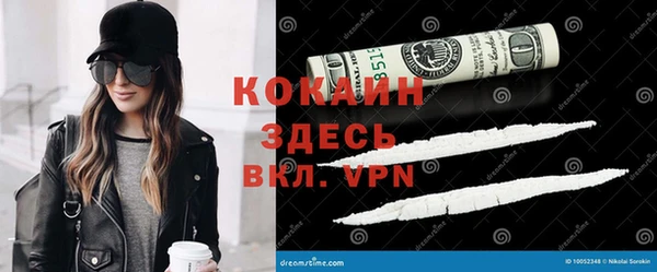шишки Алексин