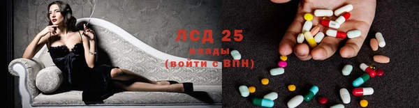шишки Алексин