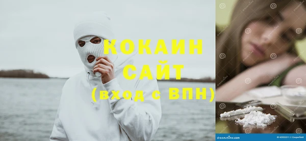 шишки Алексин